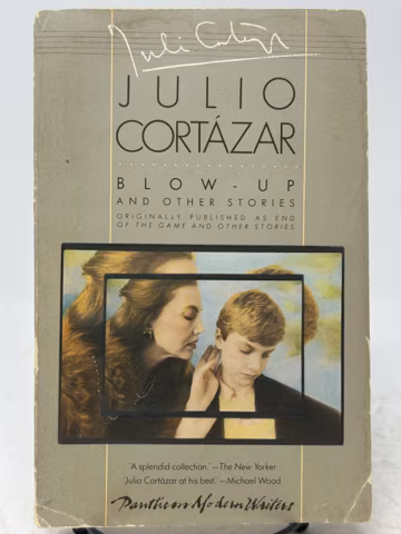 Blow-Up: And Other Stories by Julio Cortazar vintage softcover book 1985