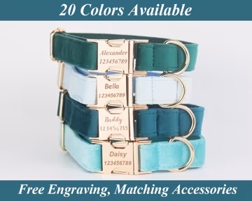 Personalized Dog Collar with Name, Custom Engraved Dog Collar, Dog Birthday Gift, Gift for New Dog Mom & Dad