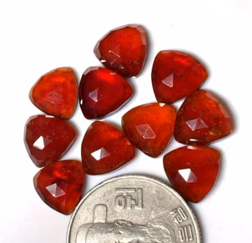 Hessonite Garnet Gemstone Lot: Rose Cut Trillion, 38 Carat, 10mm