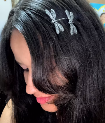Dragonfly Hair Clips Set: Metal Barrette, Non-Slip Accessories (Set of 2)