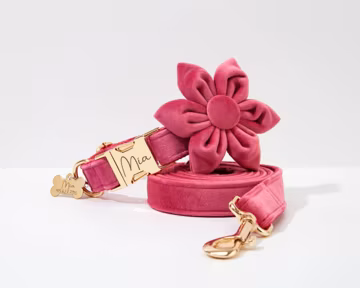 Pink Velvet Dog Collar Flower Set, Personalized Engraved Buckle