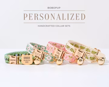 Personalized Nylon Cat Collar with Engraved Name Tag – Custom Kitten Leash Set