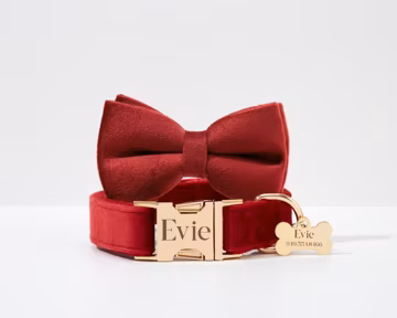 Cherry Red Velvet Dog Collar with Engraved Buckle and Tag