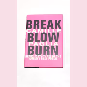 Break Blow Burn - Camille Paglia Reads Forty Three of the Worlds Best Poem - Vintage Hardcover Book - Very Good Condition