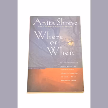 Used Fiction Paperback Book - Where or When - Anita Shreve - Vintage Paperback Novel - Classic Literature - PreOwned - Good