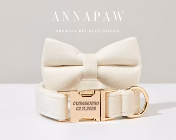 Luxurious Cream Velvet Dog Collar Bowtie Set,Handmade Puppy Collar Leash Bowtie For Wedding Gift,Custom Engraved Dog Collar Bowtie Leash