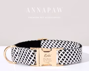 Black Dog Collar Lead Bowtie Set,Personalized Puppy Collar Leash For Birthday Gift,Customized Free Dog Harness Leash,Customized Dog Tag
