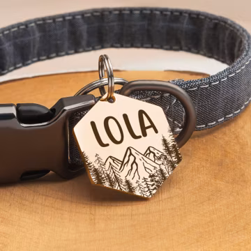 Dog ID Tag - Hexagon Dog Tag - Dog Name Tag - Personalized Dog Tag for Dogs - Dog Collar Tag - Engraved Pet ID Tag - Mountain - Forest