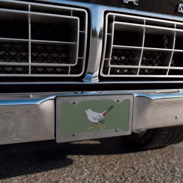 Gray Catbird Vanity license plate