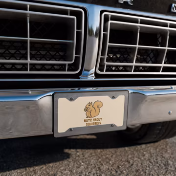 Nutz about Squirrels Vanity license plate