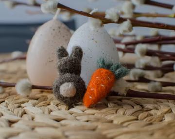 Matching brooches Carrot and Bunny