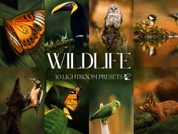 WILDLIFE BIRDS Lightroom Presets for Mobile & Desktop, Outdoor Moody Presets, Earthy, Green, Nature Preset Pack