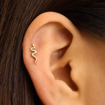 18G/16G Gold Serpent Cartilage Earring • snake tragus • conch earring • tragus • helix • cartilage piercing • minimalist • FLAT BACK