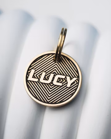 Custom Engraved Brass Pet ID Tag, Personalized Dog Cat Collar Tag