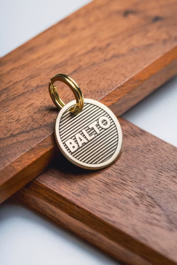Personalized Brass Pet ID Tag, Engraved Dog Cat Tag, 30mm, 25mm Dog Name Tag, Dog Tag for Collar, Pet Gifts, Dog ID Tag with Phone Number