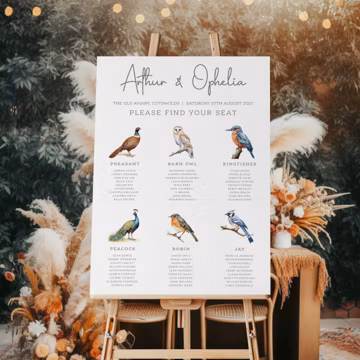 Bird Wedding Seating Plan, Animal Wedding Seating Chart, Bird Spotting Seating Plan, Illustrated Bird Wedding, Nature Table Plan, PRINTED