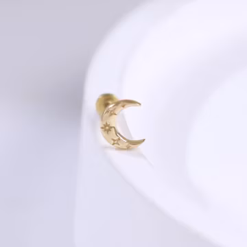 14k Solid Gold Star Textured Moon Helix Push Back, Gold Moon & Star Cartilage Stud, Celestial Tragus Conch Nose Stud Threadless Pin Earring