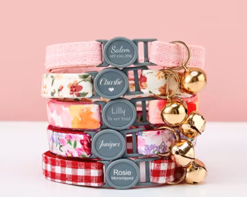 Breakaway Personalized Floral Cat Collar Bowtie Leash Set,Colorful Custom Engraved Kitten Name Safety Buckle,Free Gold Bell,Female Pet Gift