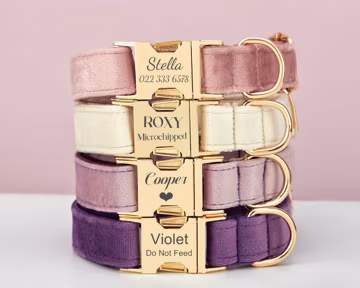 Multiple Colour Velvet Personalise Dog Collar Leash Set with Bow,Purple+Violet+Lilac,Engraved Pet Name Metal Buckle,Wedding Puppy Gift