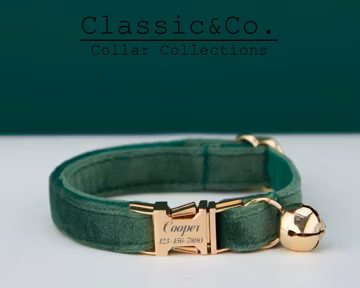 Forest Velvet Personalized Cat & Small Dog Collar Bowtie Leash Set,Custom Engraved Kitten Puppy Name Tag,Free Gold Bell,Male Female Pet Gift