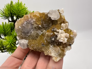 Natural Yellow Fluorite Crystal Specimen from Spain ā Collector Mineral Display Piece