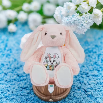 Personalized Plush Bunny Rabbit,Easter Bunny Toy Gifts for Girls and Boys,Personalised Plush Soft Toy,Newborn Gift,Positive Child Quote Gift