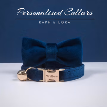 Navy Blue Velvet Personalized Cat Collar Bow with Lead,Gold Cat Collar Bell,Small Dog Collar,Engraved Kitten Name Tag For Free