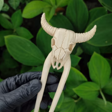 Hand Carved Buffalo Skull Hair Pin: Crocodile Wood Gothic Hair fork | Bun holder stick