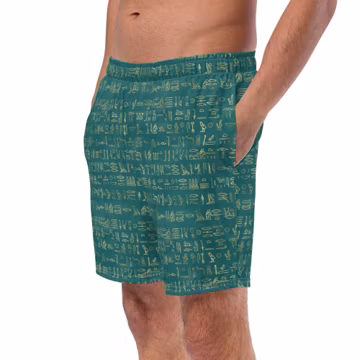 Egypt Hieroglyphics Printed Mens Swim Trunks, All over Print Swimming Trunks, Egyptian Summer Beach Trunks, Surfing Shorts, Bathing Suit