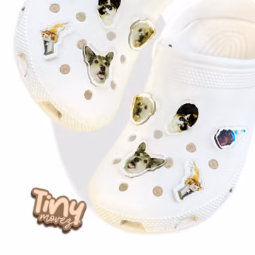 Custom Acrylic Photo Shoe Charms: Personalized Logo Pins for Parties, Couples, Pets, Business