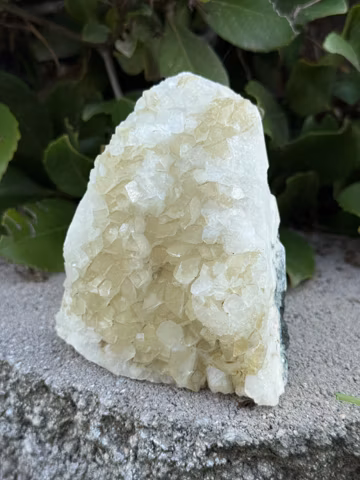 Standing Cut Base Apophyllite Piece on Tree Agate and Matrix