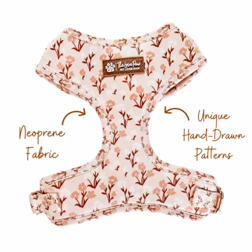 Boho Dainty Dog Harness, Cute Floral Dog Walk Set, Girl Dog Harness, Boho Stylish Pattern, Cute Cat Harness, Girl Dog Harness and Leash Set