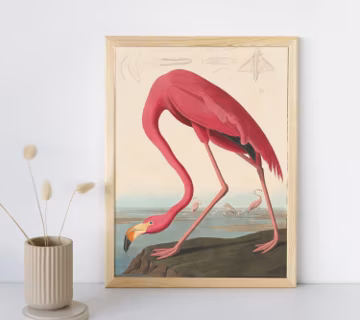 Pink Flamingo Wall Art Print, Audubon Fine Art, Vintage Prints, Antique Wildlife Painting, Classic Home Decor, Printable Digital Download