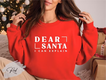 Dear Santa I Can Explain Sweatshirt, Funny Santa Sweatshirt, Santa Lover Sweatshirt, Christmas Family Matching Sweatshirt