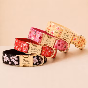 Japanese Floral Dog Collar, Personalized Engraved Name Pet Collar, Cherry Blossom Collar with Leash & Bow Tie, Asian Floral Puppy Collar