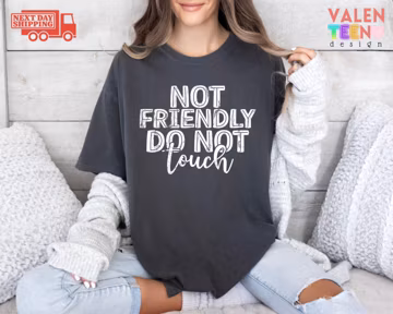 Comfort Colors Sarcastic T-Shirt, Not Friendly Graphic Tee