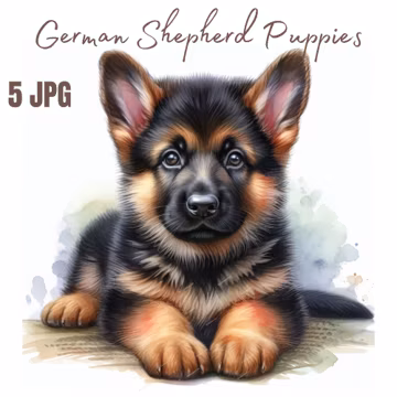 Dog, puppy, German Shepherd Clipart - High Quality JPGS - Digital Download - Card Making, Clip Art, Digital Paper Craft