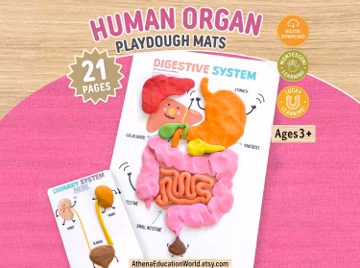 Human Body Playdough Mats, Anatomy Learning Activity, Preschool Fine Motor Skills Printable, Montessori Toddler Homeschool Curriculum