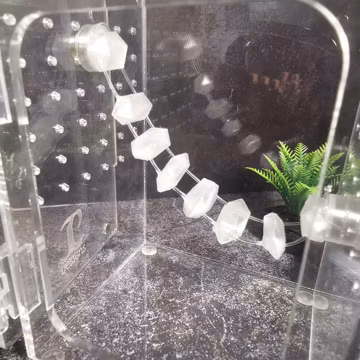 3D printed Magnetic Crystal Bridge Jumping Spider Hide