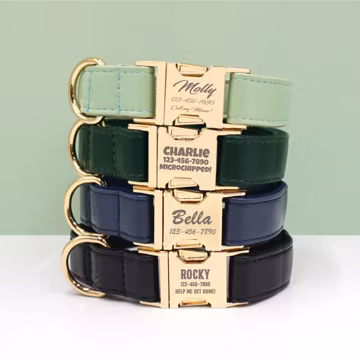 Customized Vegan Leather Dog Collar and Lead Set | Personalized Sage Green Pet Collar