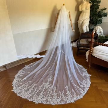 Shimmer Sequins Appliques Bridal Veil, Luxury Wedding Veil, One Tier Comb Veil