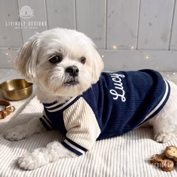 Custom Embroidered Dog Baseball Jacket – Warm Fleece-Lined Autumn/Winter Pet Coat for Small Dogs