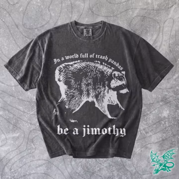 Jimothy the Racoon Graphic Tshirt, Funny Seattle Washington Meme, Local Cryptid 90s Galaxy Moon Shirt, Comfort Colors Unisex Weirdcore Tee