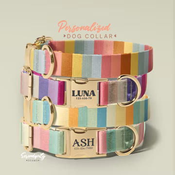 Striped Dog Collar with Name - Personalized Collars for Small Medium Large Dogs - Colorful Pet Collar - Adjustable Size (P97)