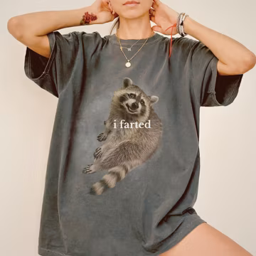 90s Vintage funny farted raccoon meme shirt, cringe Unisex Graphic raccoon Tee, inappropriate shirts, embarrassing comfortcolors shirts