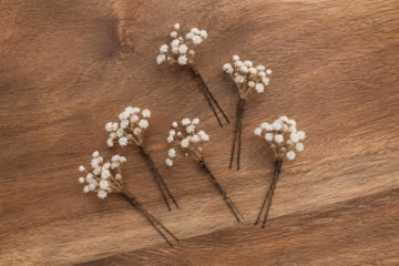 Baby's Breath Hair Pins, Ivory Gypsophila Hair Pins, Cream Bridal Hair Piece, Wedding Hair Accessories, Boho Dried Flower Hair Pins Reddit