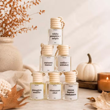 Fall Car Diffuser Set | Autumn Hanging Fresheners for Rearview Mirror