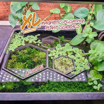 Floating Plant Corral - HexaLink XL Magnetic Aquarium Ring