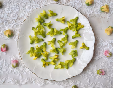 50 pcs Hand-Painted Clay Pakalana Flowers: Yellow-Green Lei Making Supplie,Jewelry Making