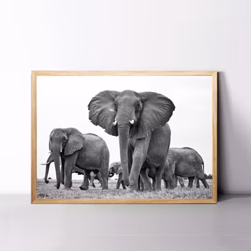 Elephant Print, Herd of Elephants Wall Art, African Elephant Framed Print, Elephant Wall Art, Black White Elephant Photo, Elephant Large Art
